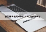 转型区块链真成长型公司[玩转区块链]